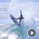 SURF NEWS AUSTIN SMITH FORD: ALMOST ONE YEAR