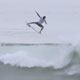 SURF NEWS HURLEY PRO TRESTLES: TOLEDO 9.20