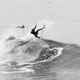 SURF NEWS I LOVE THIS SONG: NOAH WEGRICH