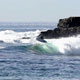 SURF NEWS Harbor Seal: Austin Smith-Ford