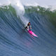 SURF NEWS HAPPY HOLIDAYS
