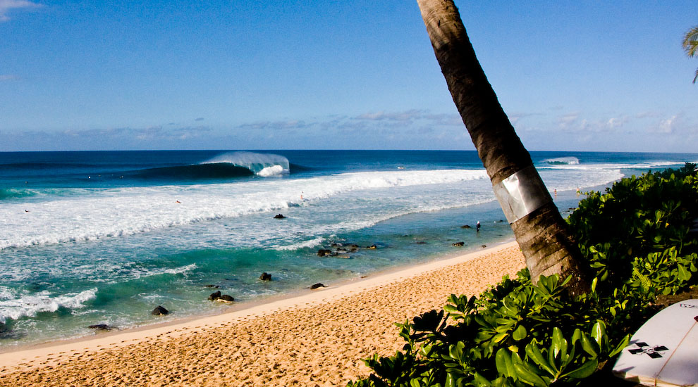 FREESURF SESSIONS