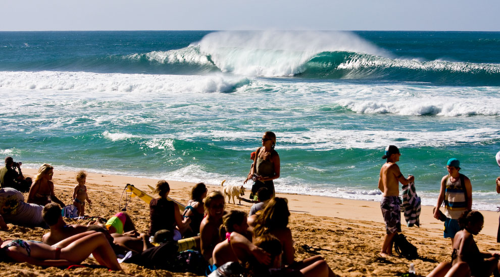 FREESURF SESSIONS