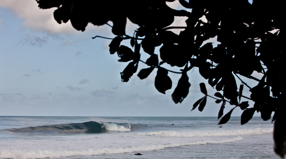 FREESURF SESSIONS