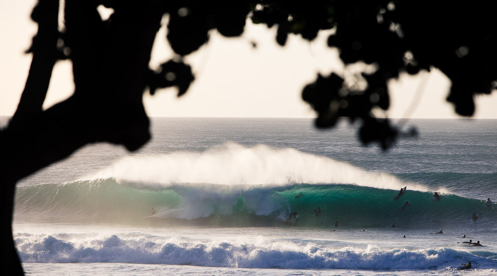 FREESURF SESSIONS