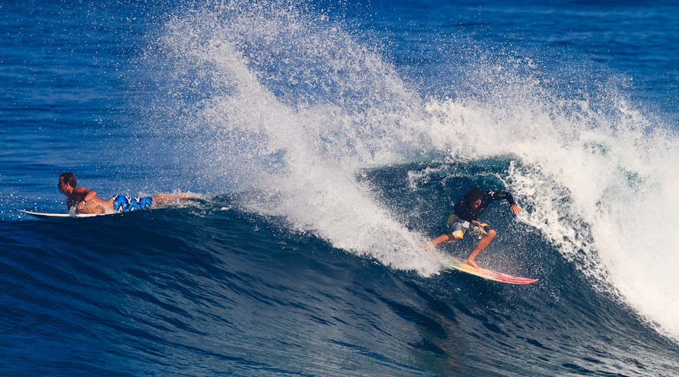 FREESURF SESSIONS