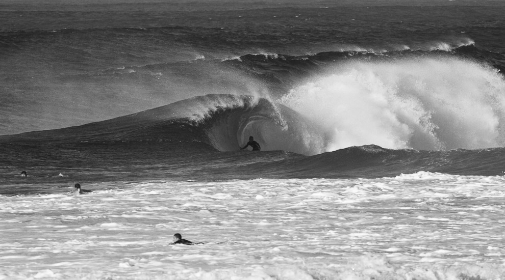 FREESURF SESSIONS